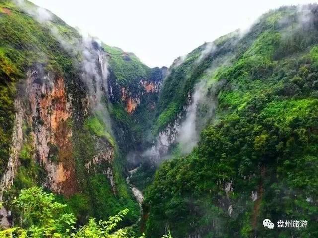 再读卡夫卡的《乡村医生》：专制社会中，个体的孤独、渺小和无力